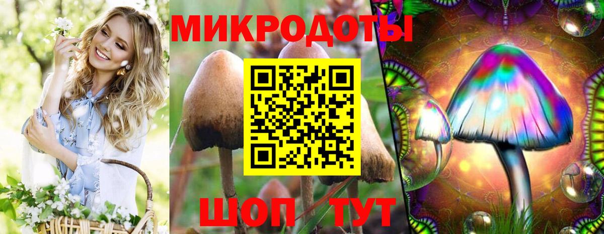 как найти наркотики  Псилоцибиновые грибы прущие грибы  Вход с VPN  Бузулук 